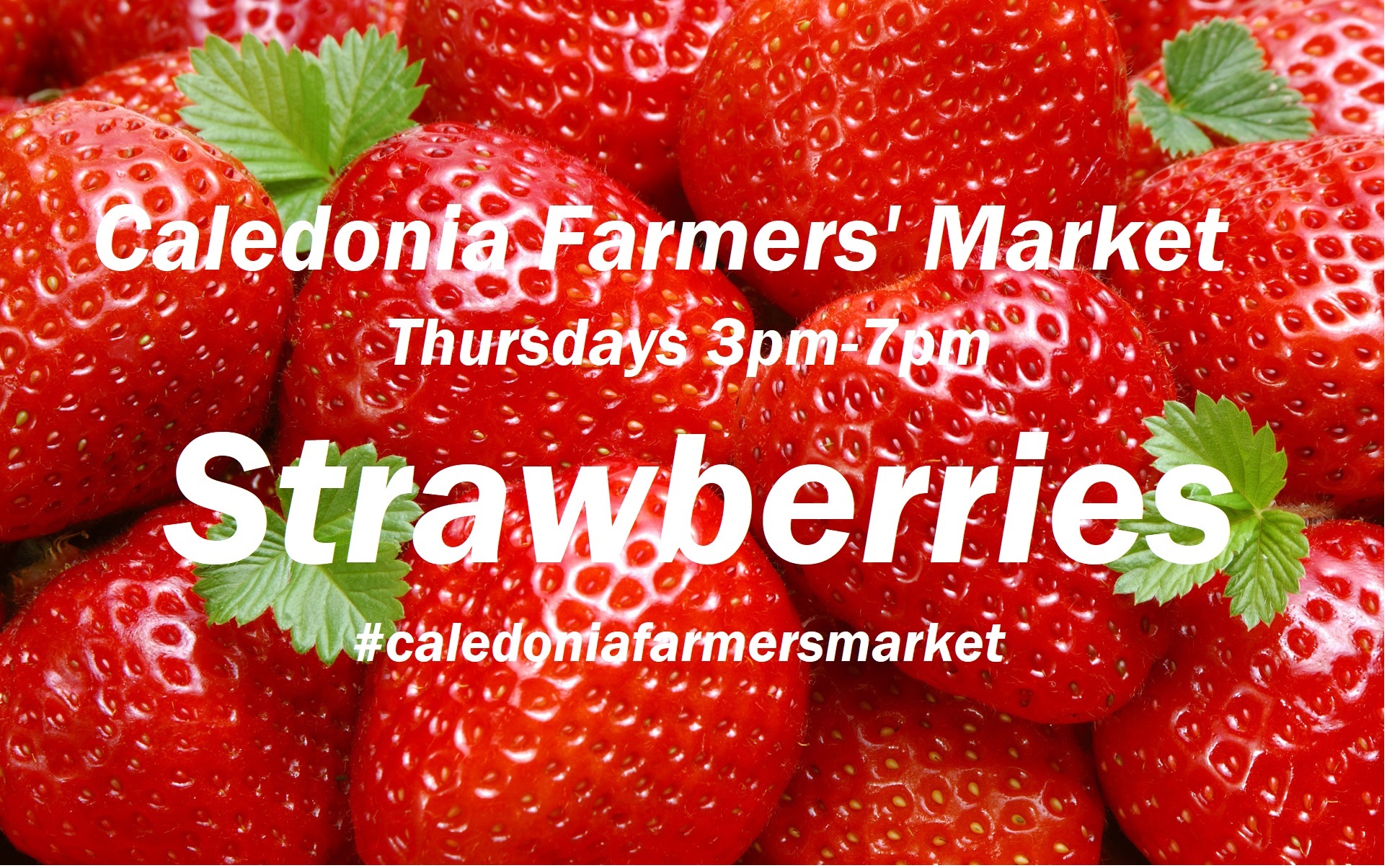 Caledonia FM strawberries